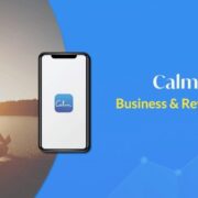 Calm Business Model