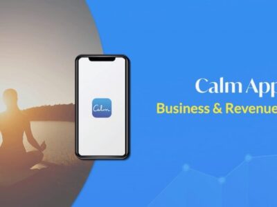 Calm Business Model